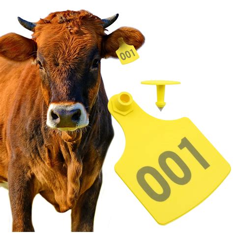 livestock number tags